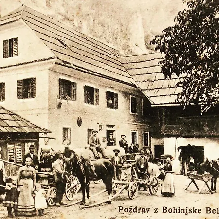 Frida's Old House Apartmán Bled