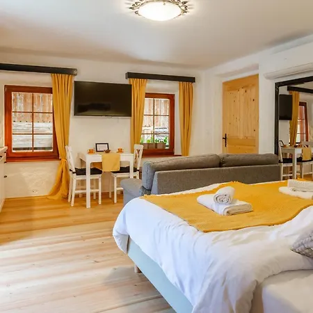 Frida's Old House Apartmán Bled