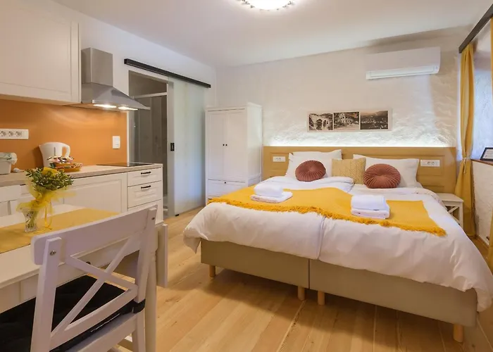 Frida's Old House 布莱德