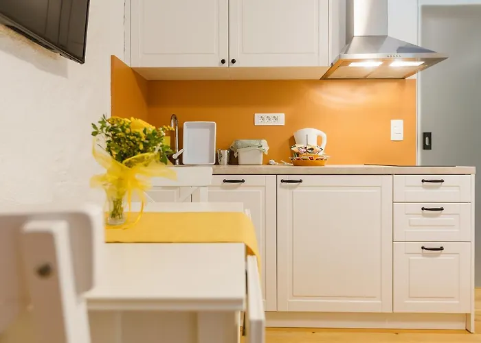 Frida's Old House * 布莱德