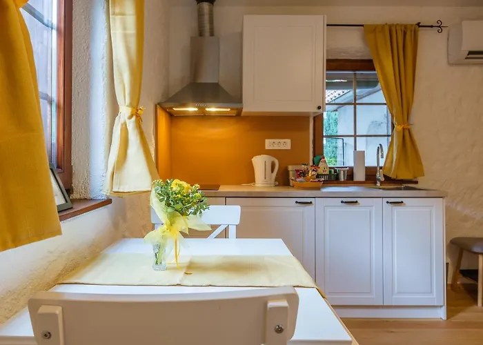 公寓 Frida's Old House 布莱德