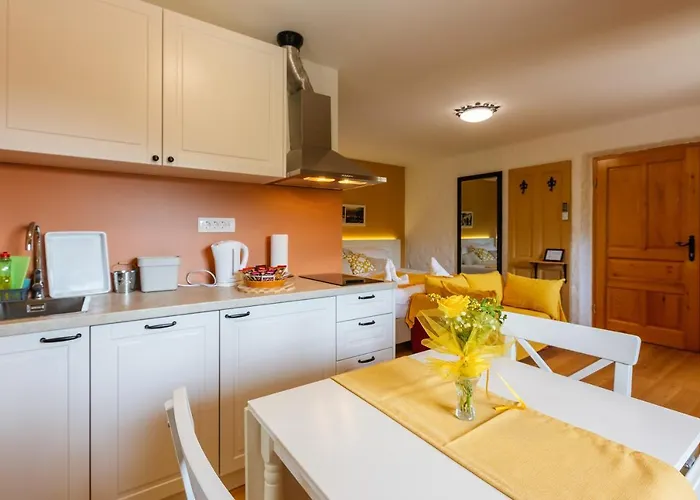 公寓 Frida's Old House