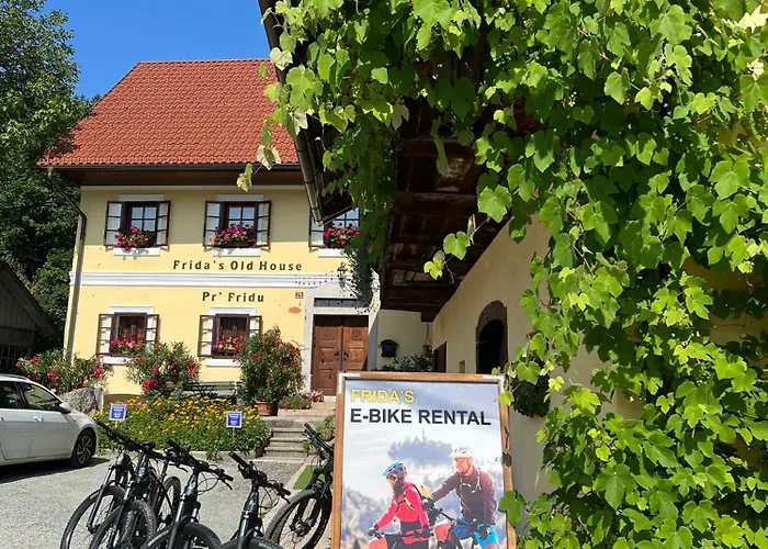 公寓 Frida's Old House